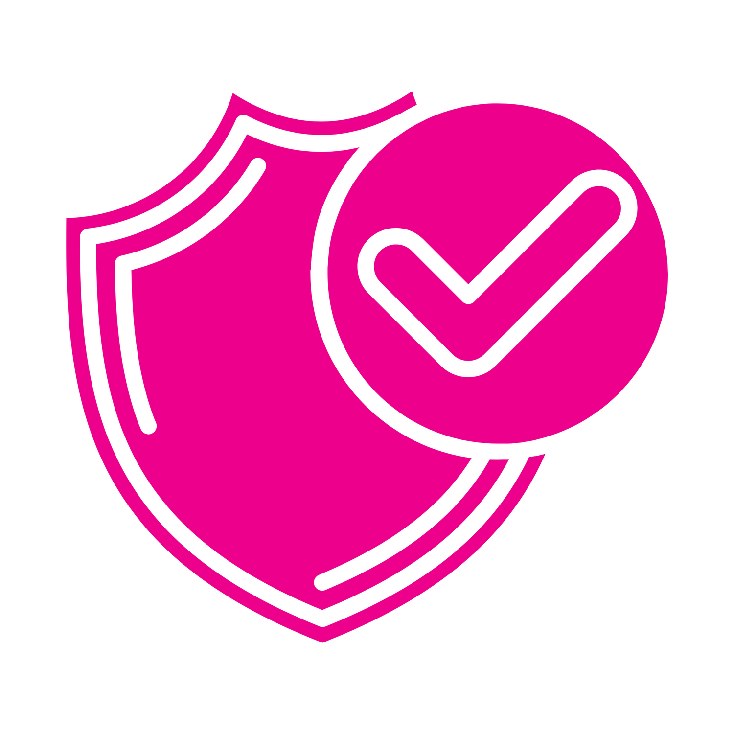 protection icon with a tick